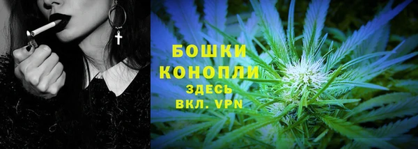 стаф Зеленокумск