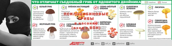 стаф Зеленокумск
