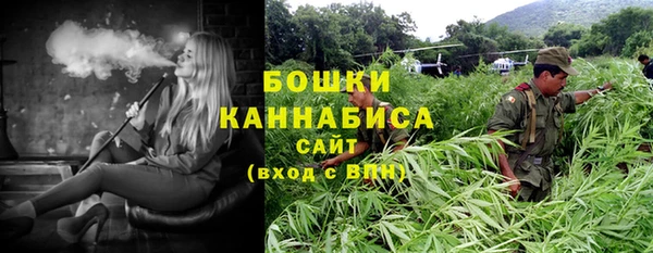 стаф Зеленокумск