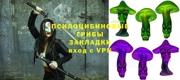 твердый Зеленодольск