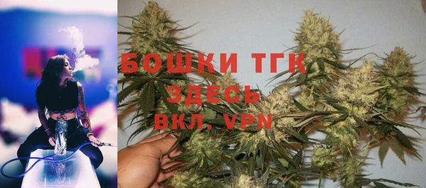 твердый Зеленодольск