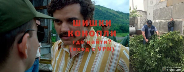 твердый Зеленодольск