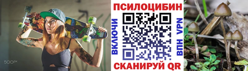Купить  Горно-Алтайск  Галлюциногенные грибы ЛСД 