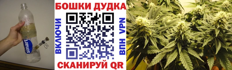 Бошки марихуана марихуана  Купить закладки  Горно-Алтайск 